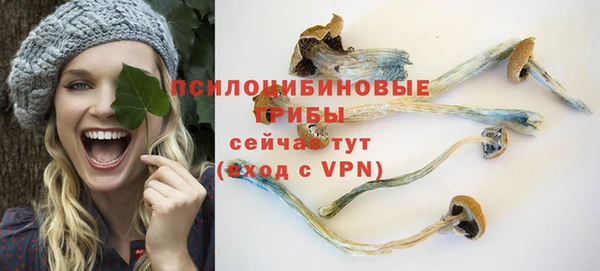 гидра Каменск-Шахтинский