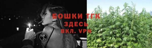 ALPHA-PVP Каменка