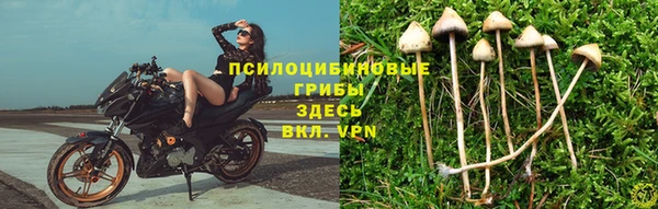 гидра Каменск-Шахтинский