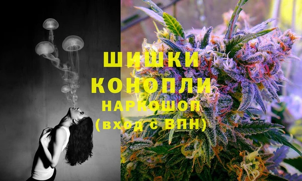 ALPHA-PVP Каменка