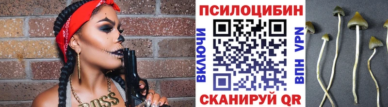 Псилоцибиновые грибы прущие грибы  Купить  Дегтярск 